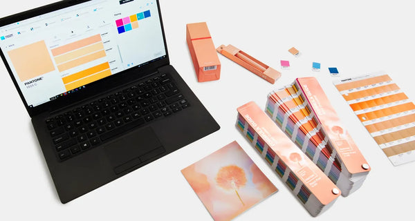 Scopri qual è il colore del 2024 secondo Pantone: Peach Fuzz.